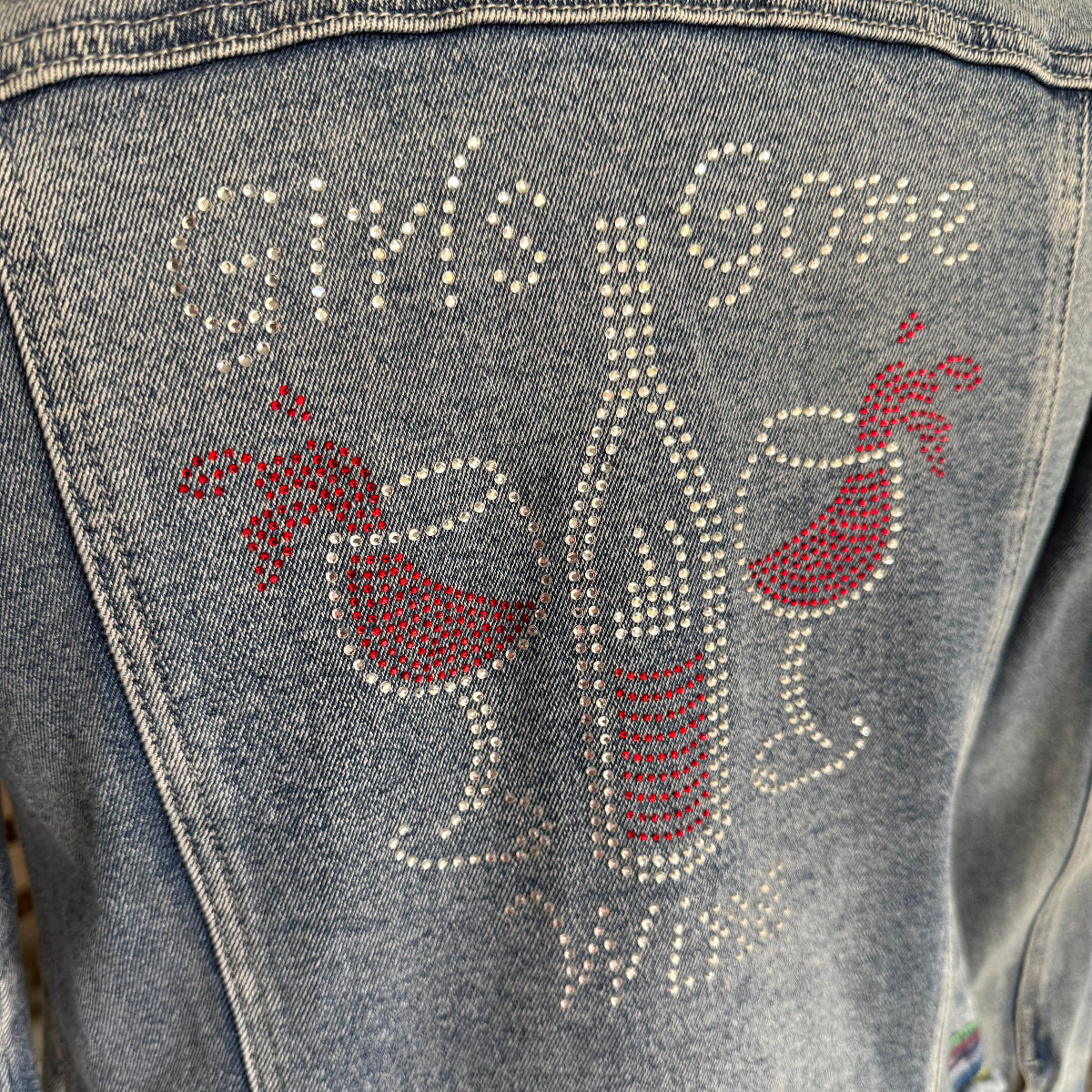 023 Denim Jacket (M)