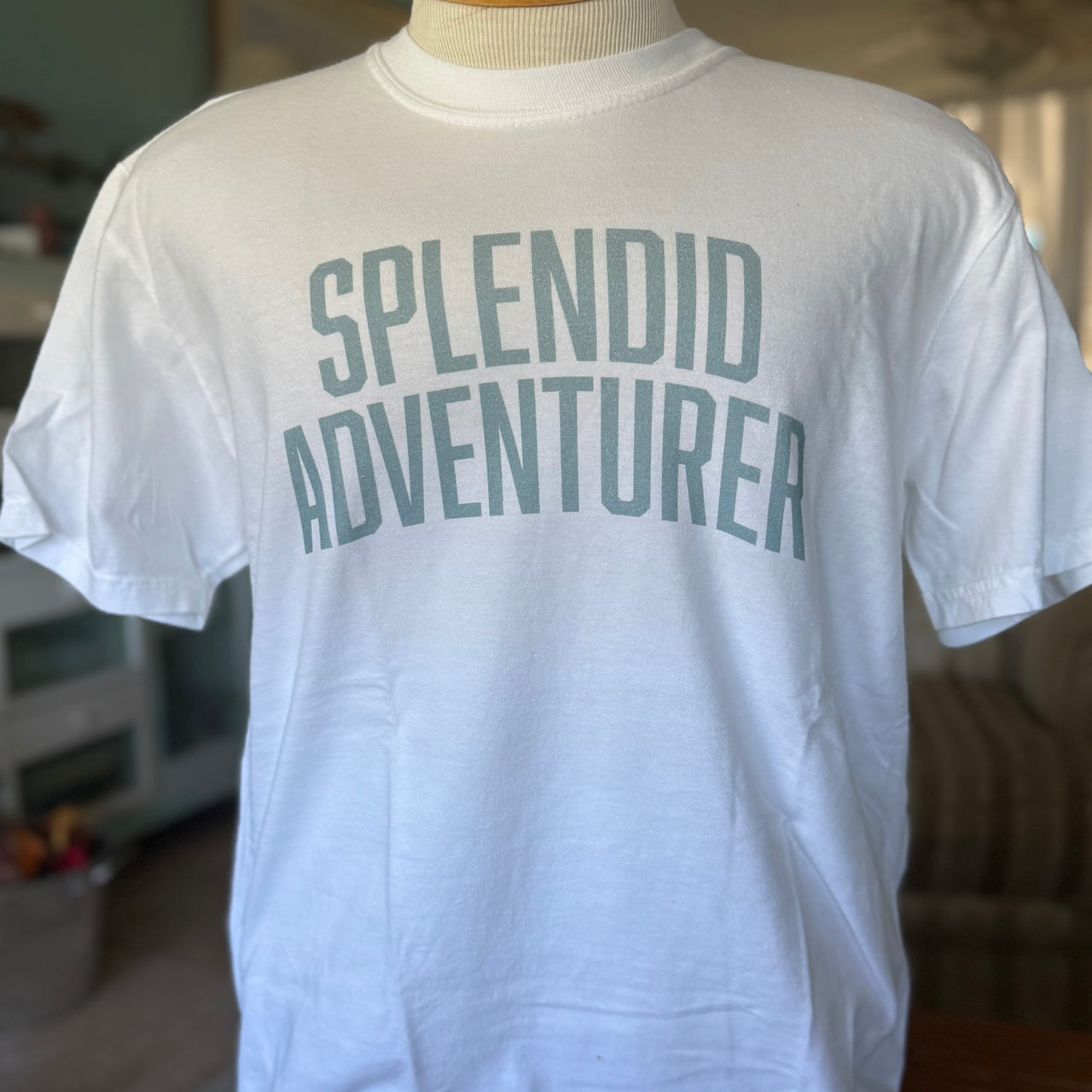 Splendid Adventurer, Men's T-shirt
