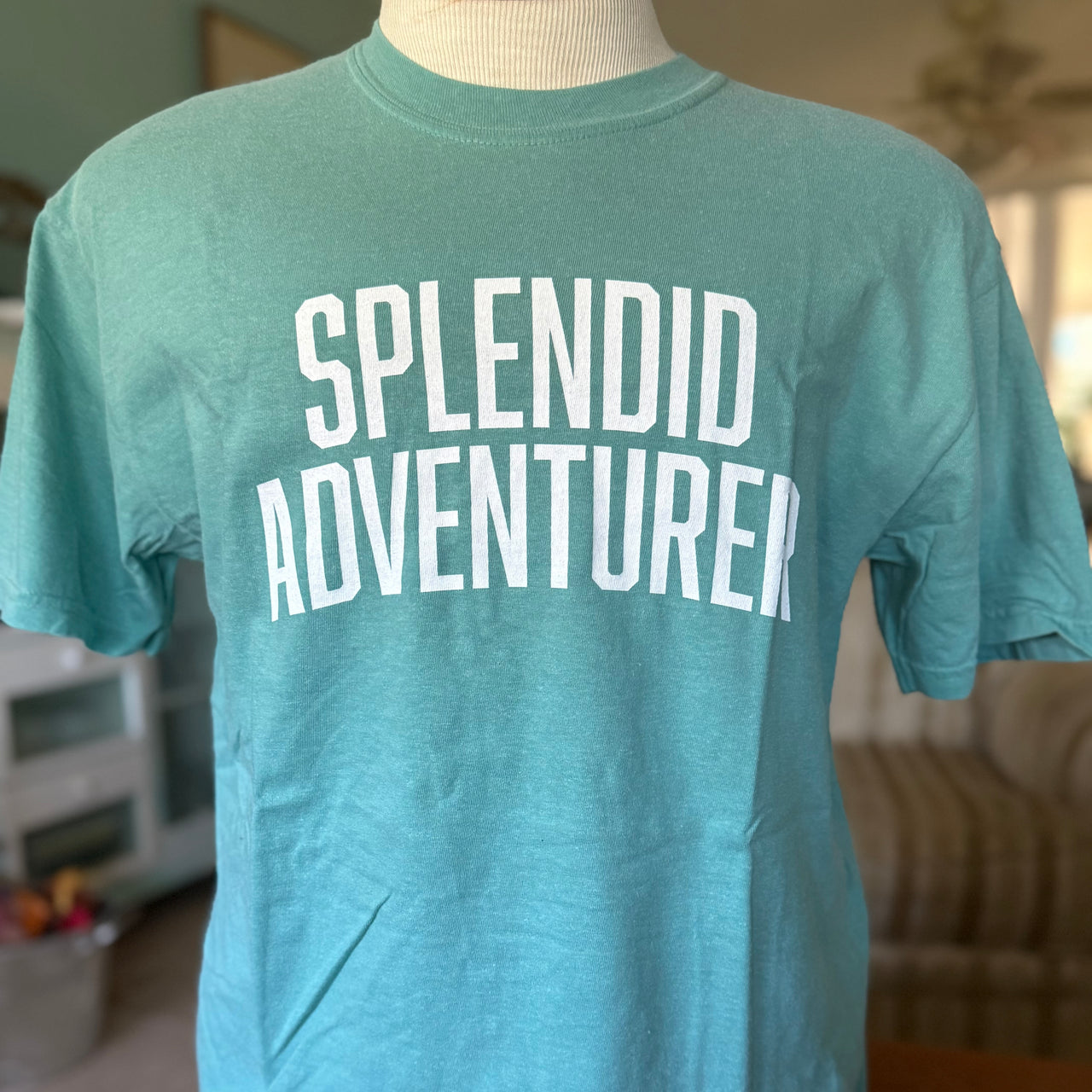 Splendid Adventurer, Men's T-shirt
