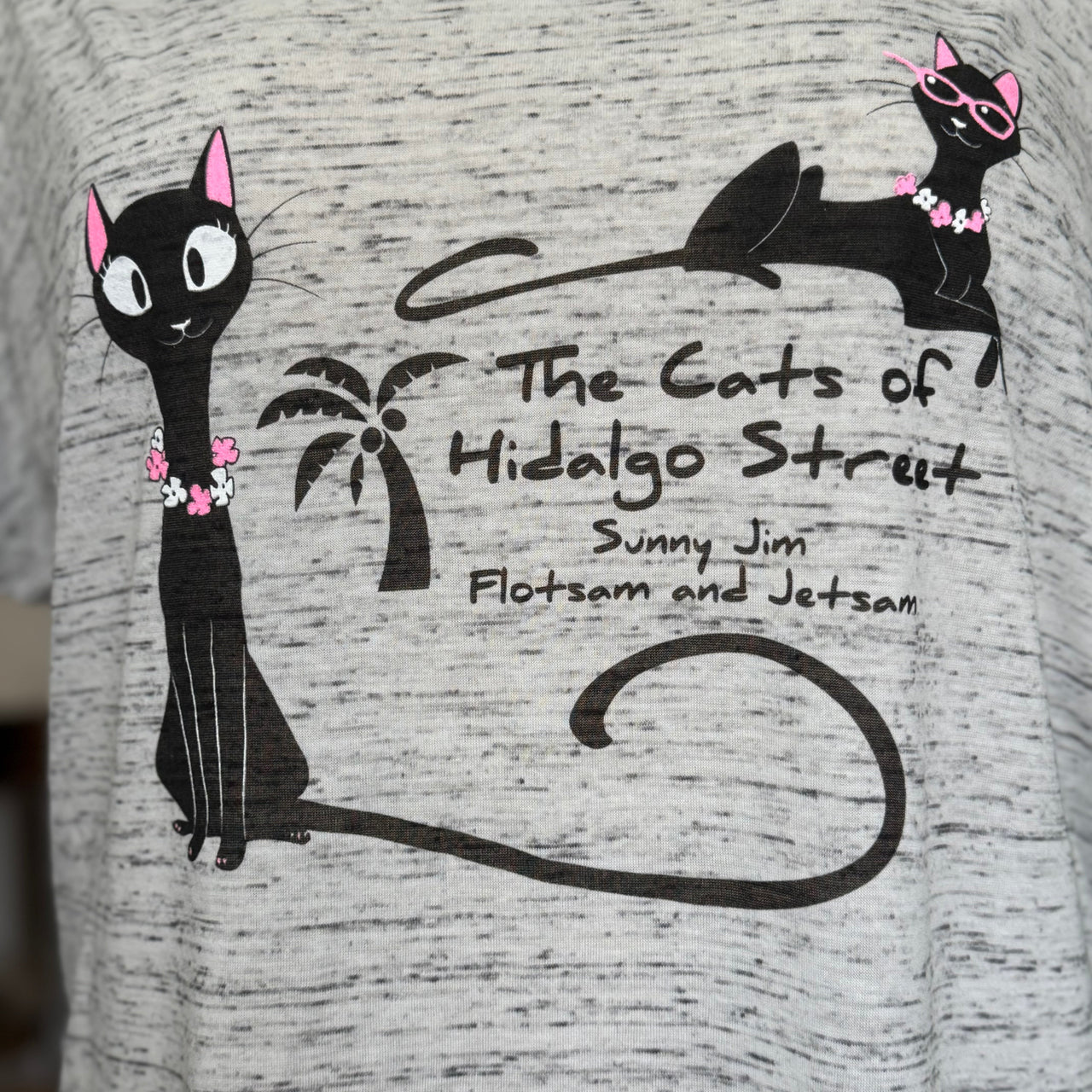 Cats of Hidalgo Street Ladies Top